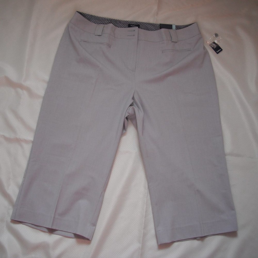 Reitmans Women's Capri Pants Size 16+ Gray New